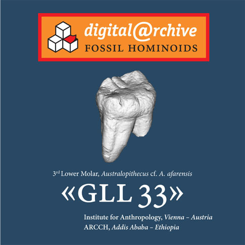 GLL 33