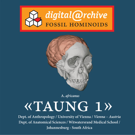 TAUNG 1