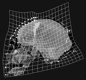 GMM_grid